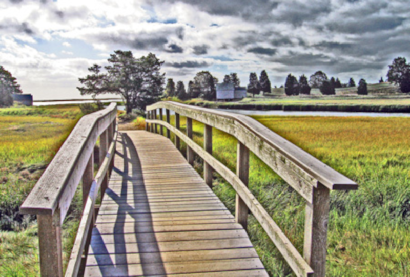 Bridge at Salt Pond