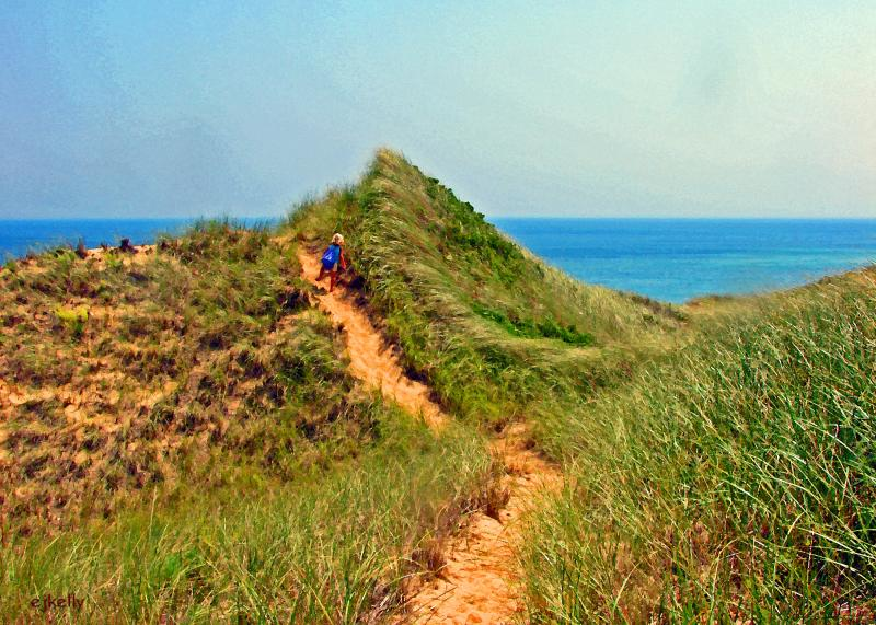 Dune Walk
