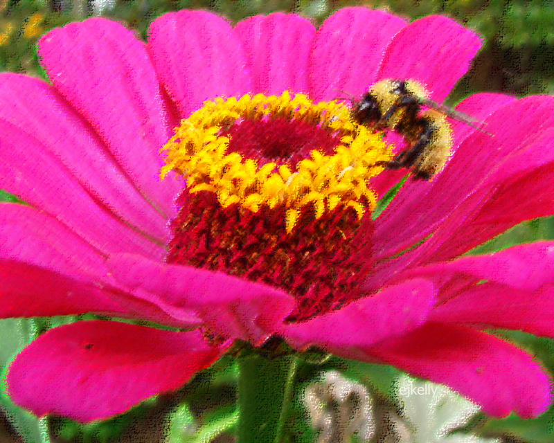 Pollination