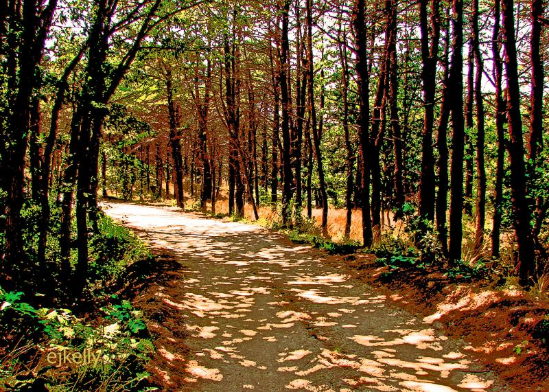 Road Walk