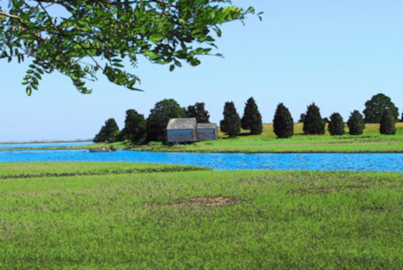 Salt Pond